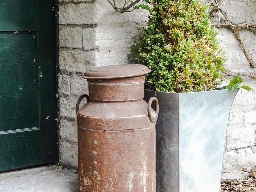 Huxham Farmhouse Bed & Breakfast East Pennard Eksteriør bilde